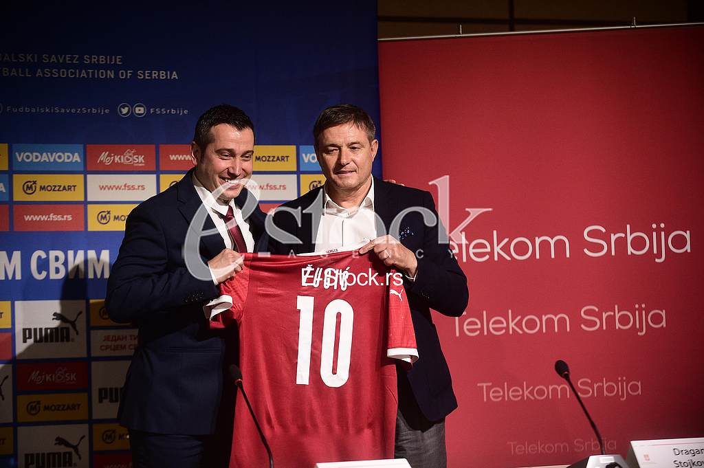 Fss telekom arena
