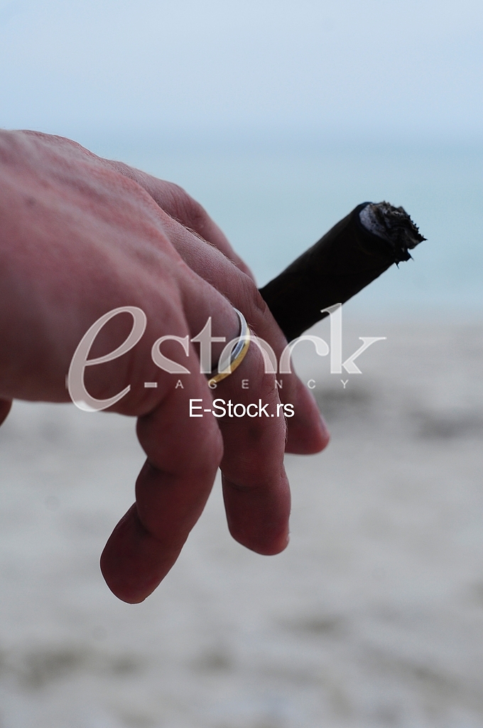 Cuban cigar