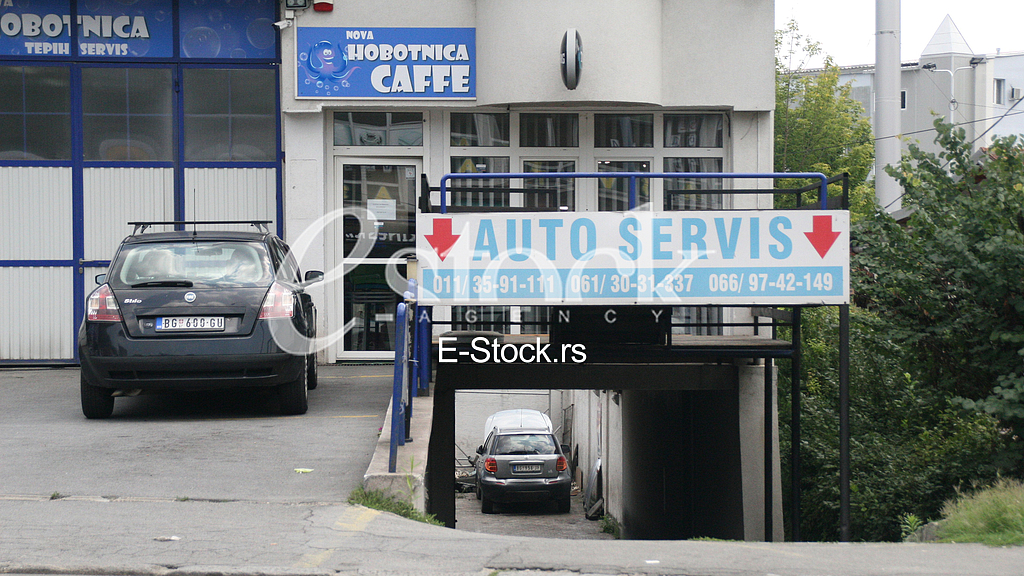 Wounded owner of Octopus Hobotnica