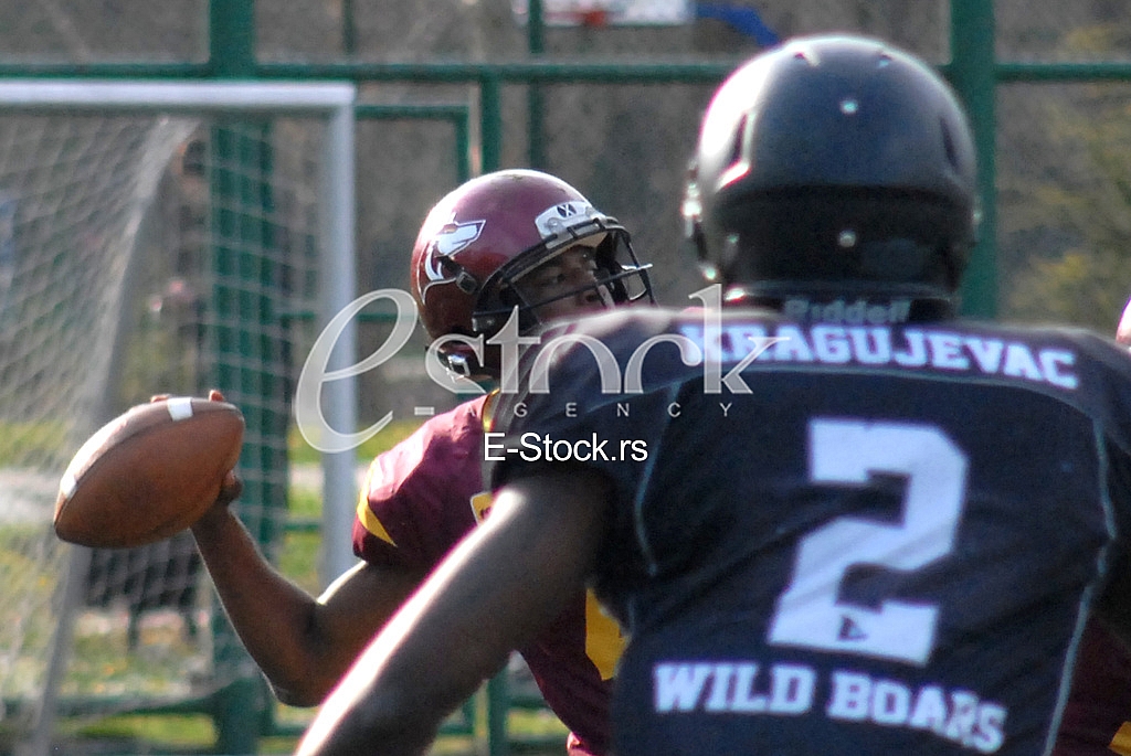 Vukovi and Wild Boars 