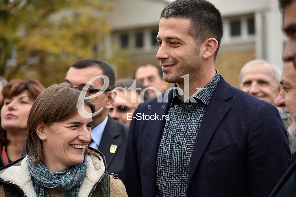 Ana Brnabic, Vanja Udovicic