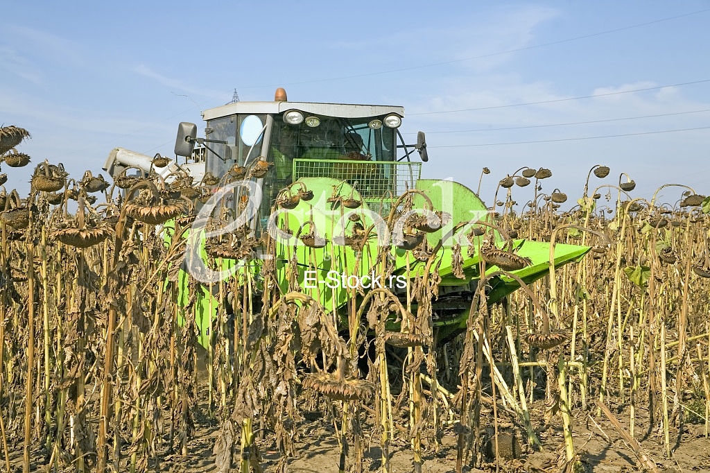 Agriculture