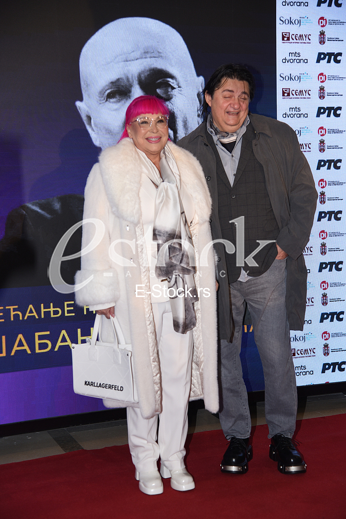 Zorica Brunclik Miroljub Arandjelovic Kemis