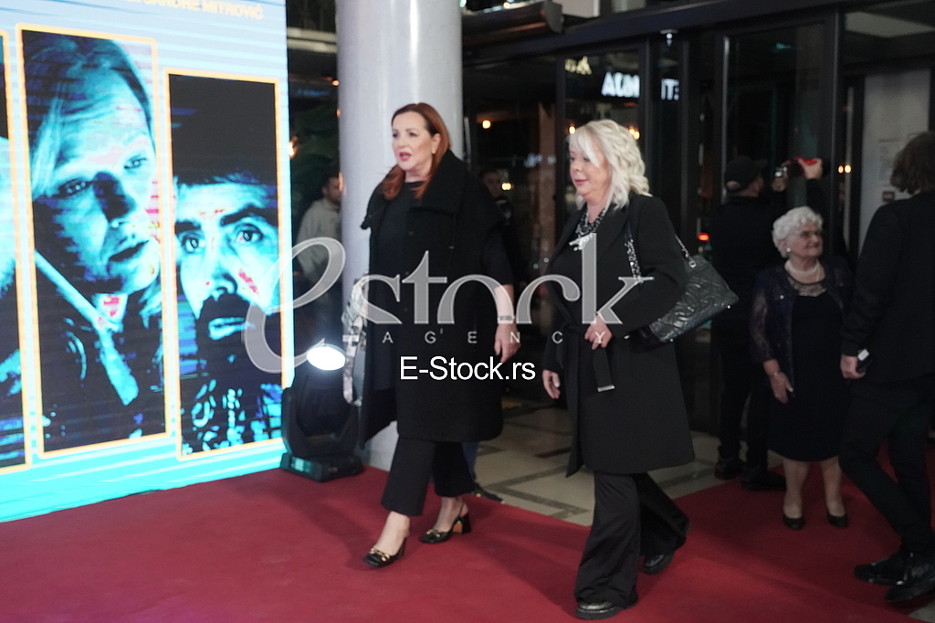 Ana Bekuta i Sonja Mitrovic Hani