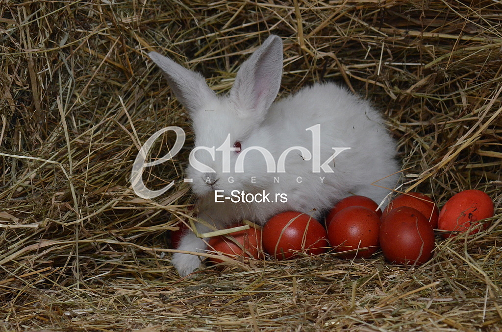Easter eggs
