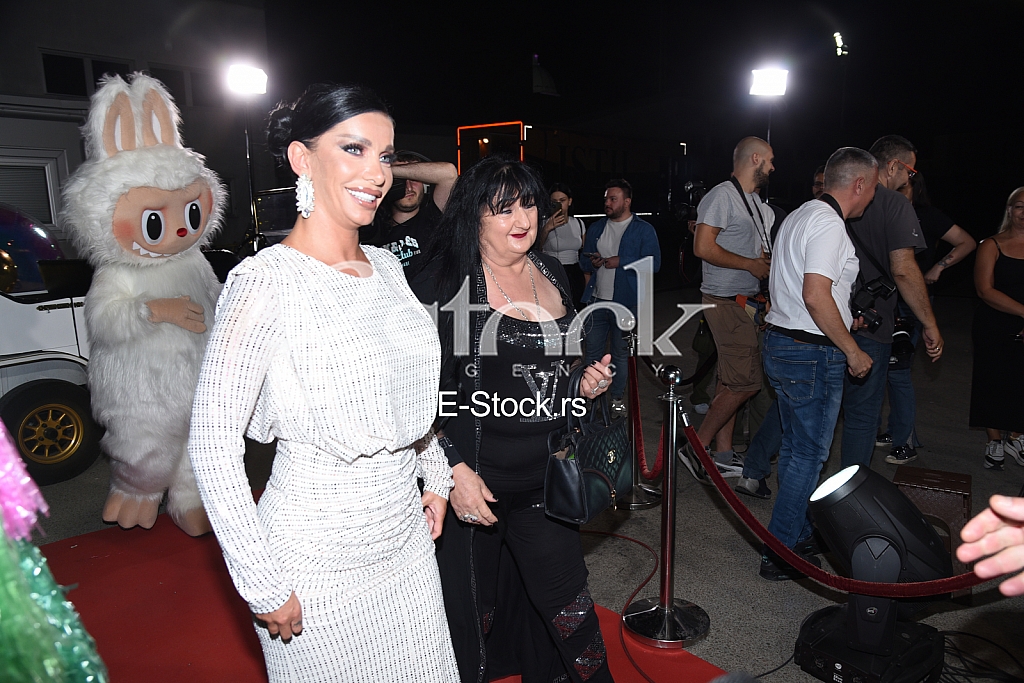 Aleksandra Nikolic Milosava