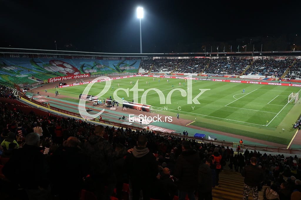 Fudbal - Utakmica Zvezda - Ludogorec