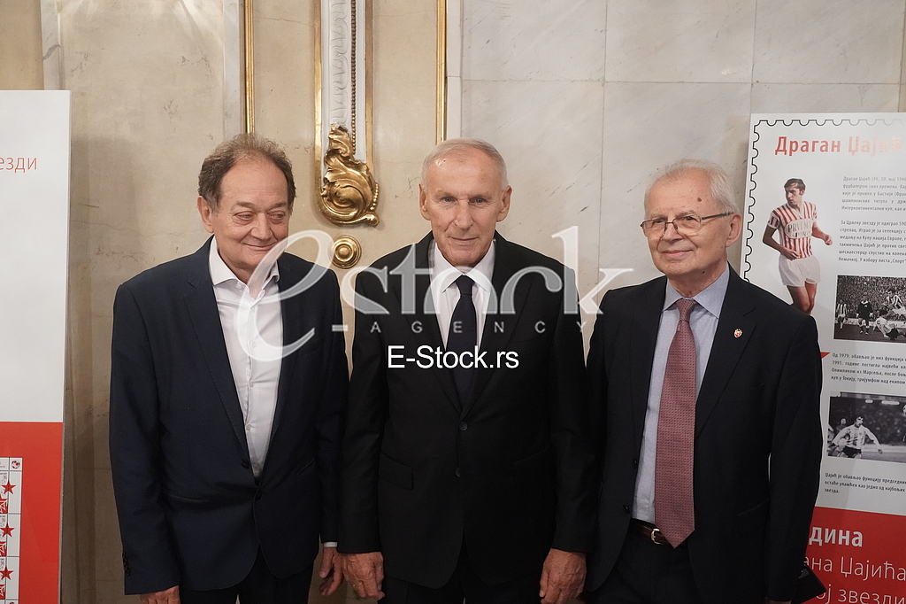 Miljko Ristic, Dragan Dzajic, Svetozar Mijailovic