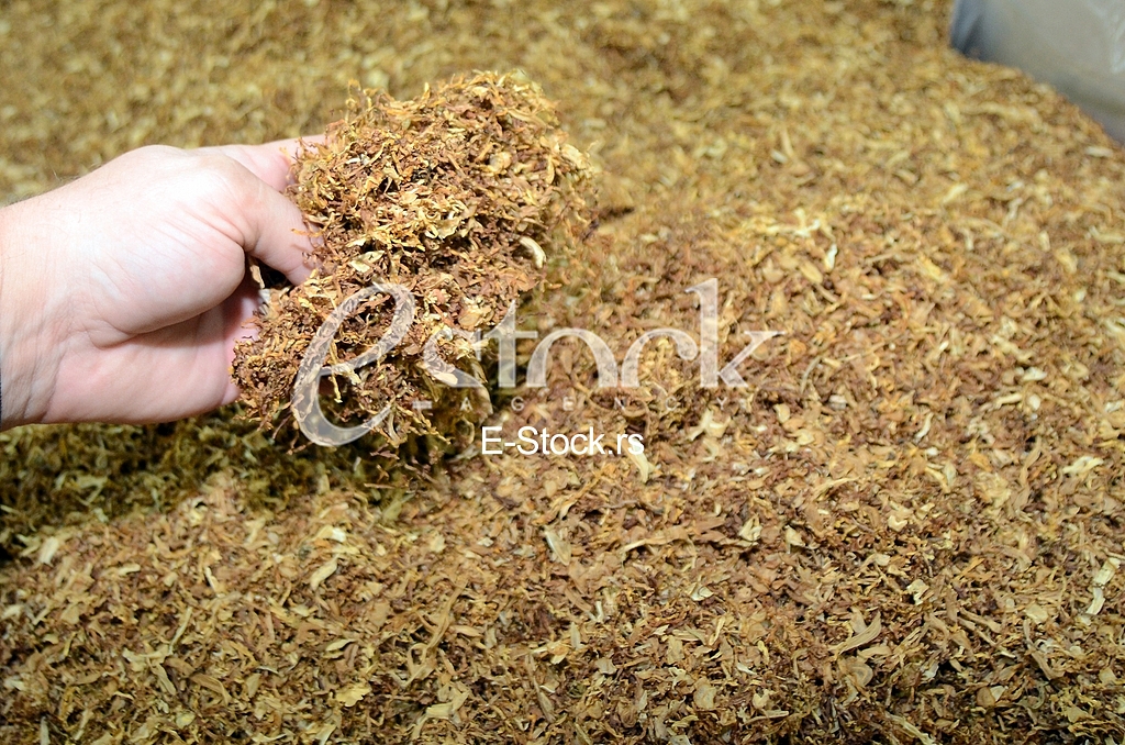  Marking of 10 years Japan Tobacco International