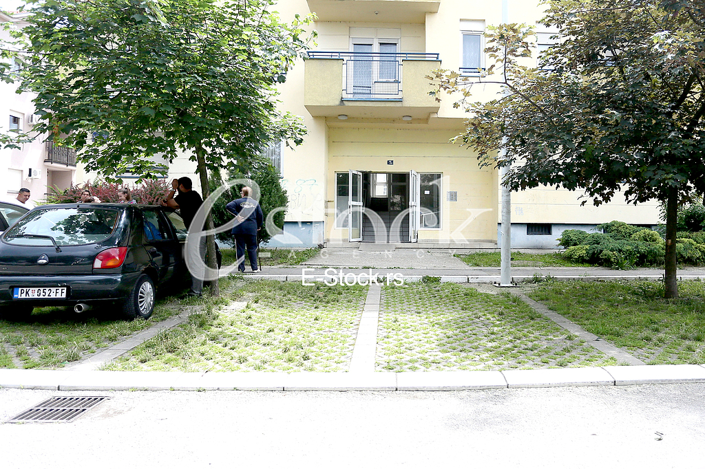 Pozar Zemun polje