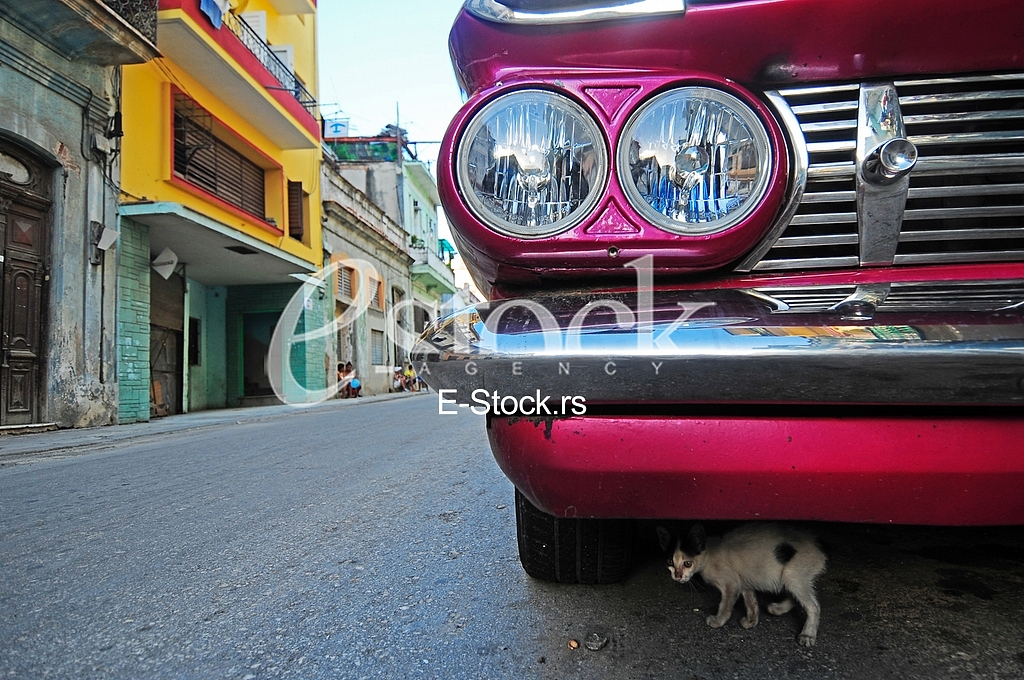 Transport