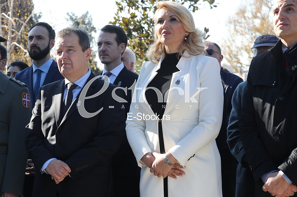 Dan primirja u Prvom svetskom ratu