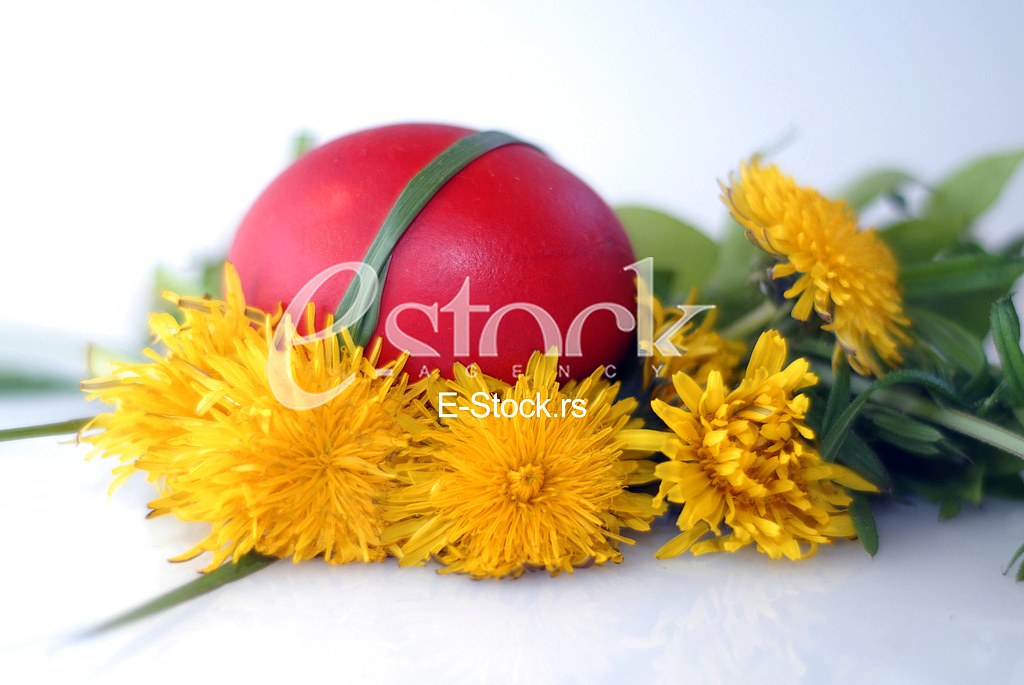 Dyeing of Easter egg
