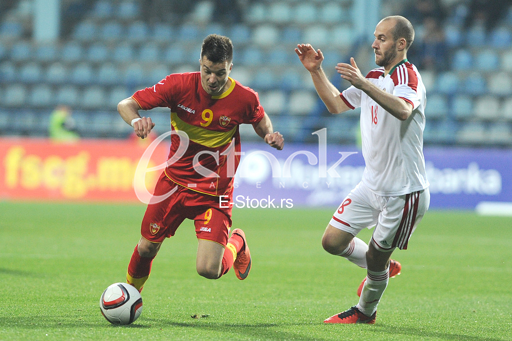 The first training of the national football team led by Ljubisa Tumbakovic