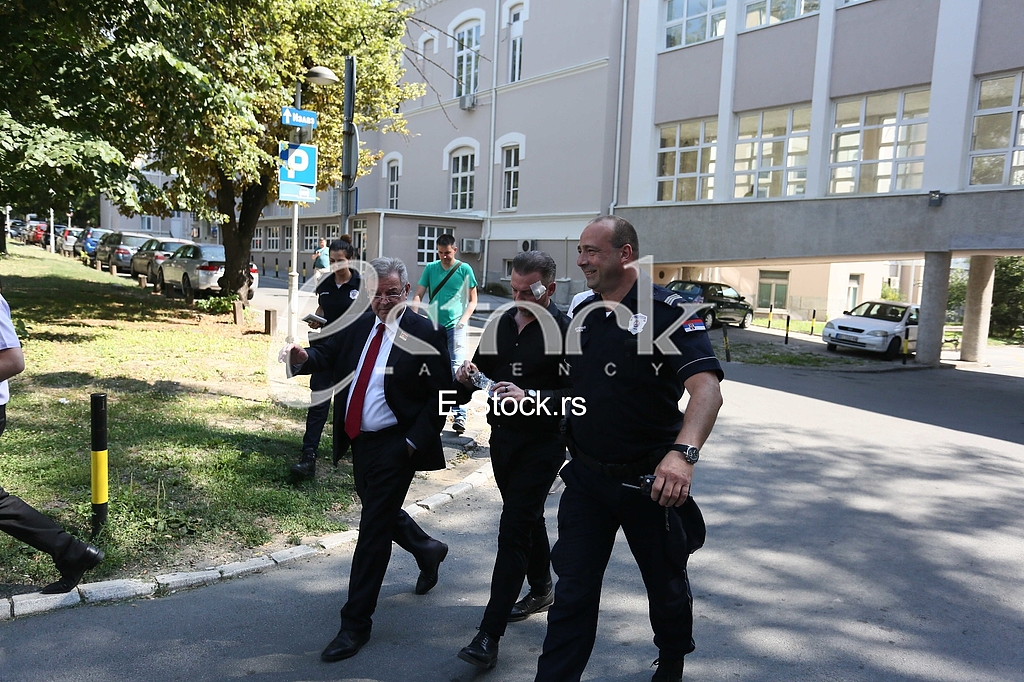 Dragomir Karic Simon de Karic