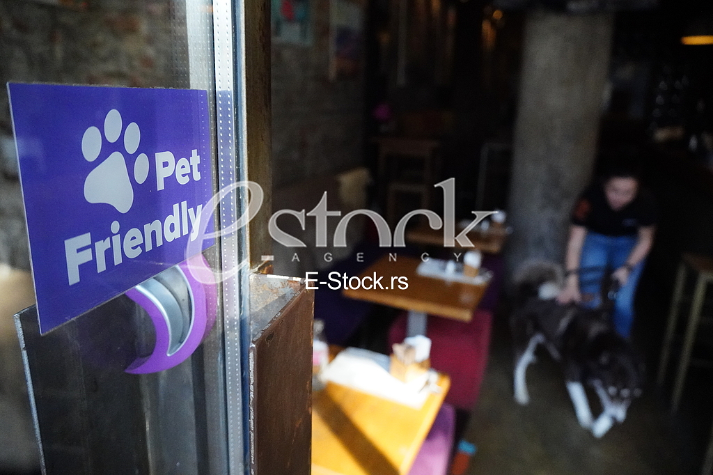 Pet Friendly