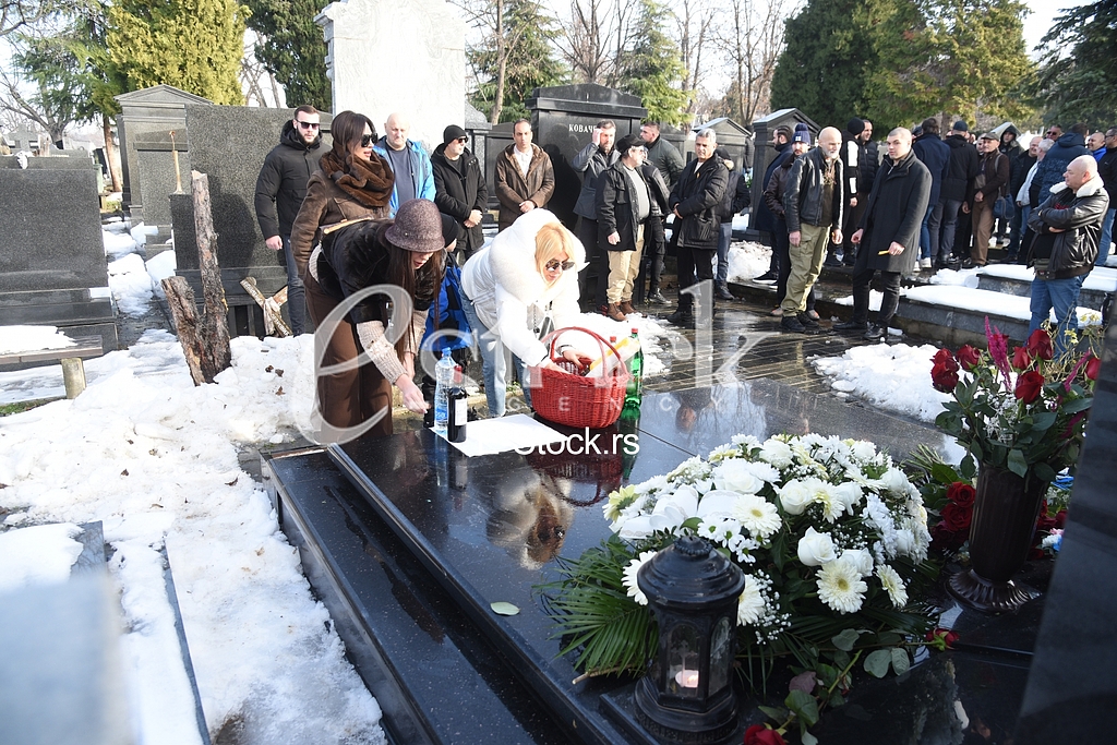 Ceca Raznatovic Bogdana Lidija Ocokoljic