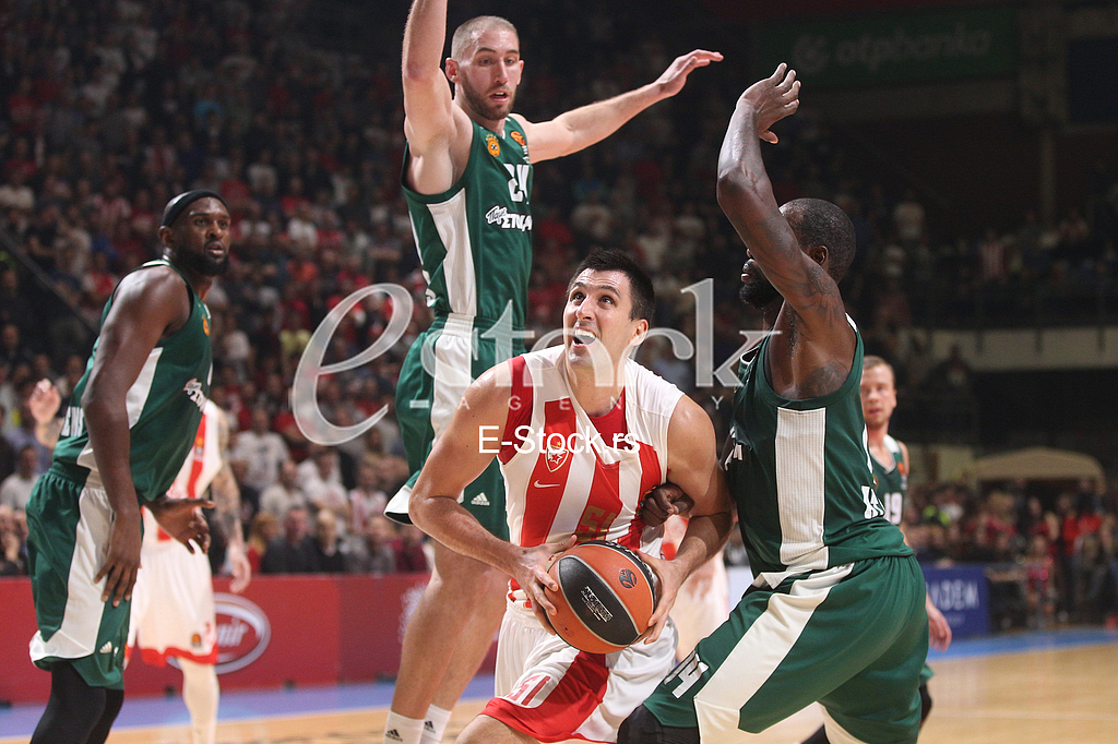 CRVENA ZVEZDA vs PANATHINAIKOS ATHENS