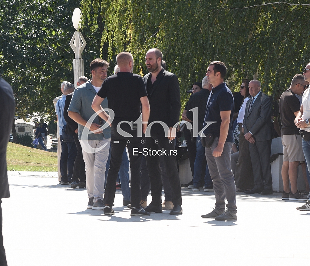 Slobodan Milenkovic Rade Bogdanovic