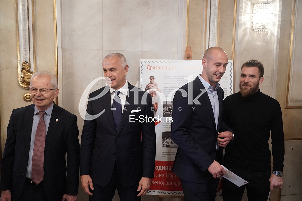 Svetozar Mijailovic, Zvezdan Terzic, Milan Borjan i Aleksadar Katai