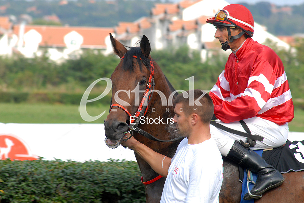 Ljubicevo Equestrian Games