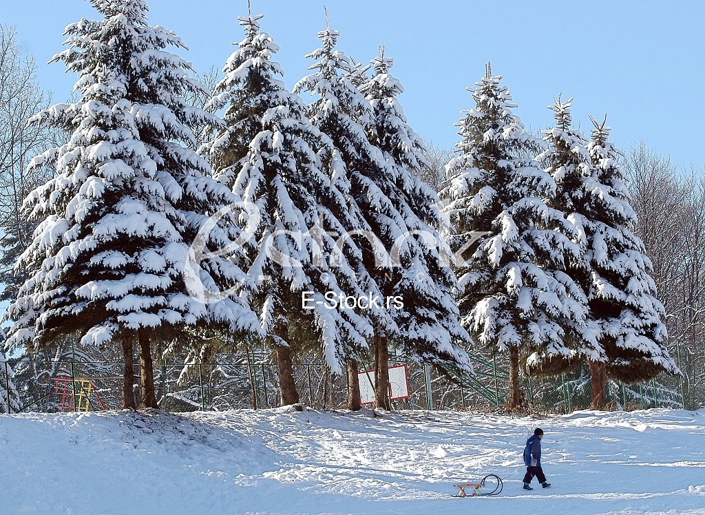 Winter
