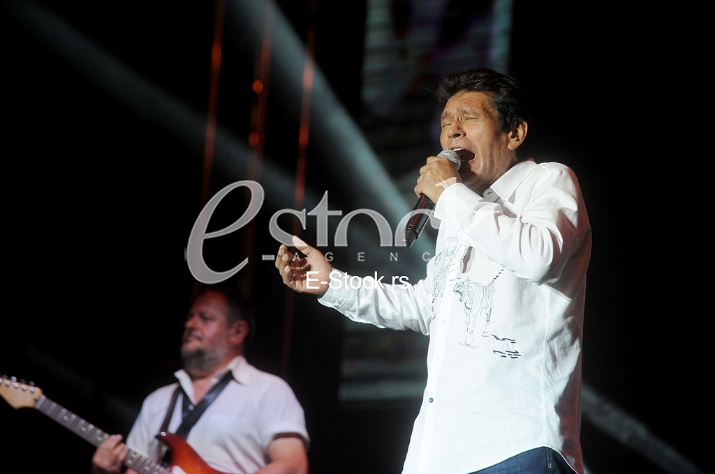 Sinan Sakic koncert