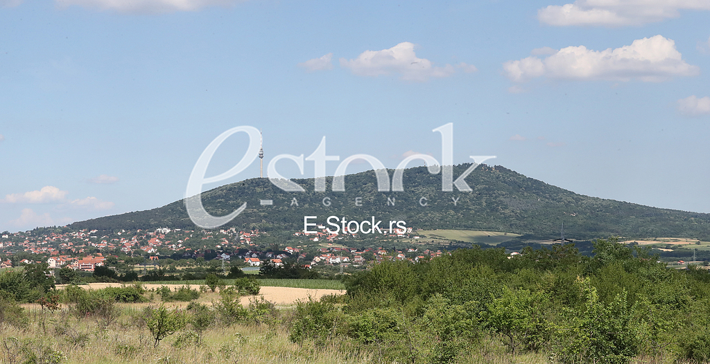 Avala
