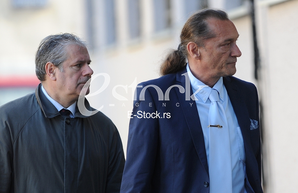 Petric, Nikolic, lawyers