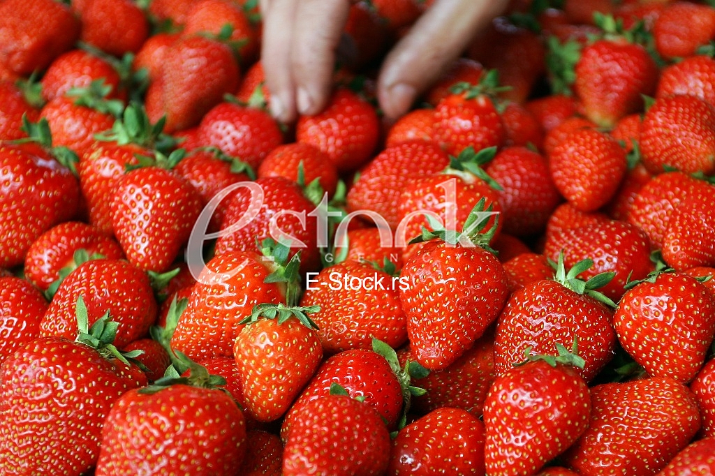 Strawberry fresh natural juicy strawberries to background on the street market
