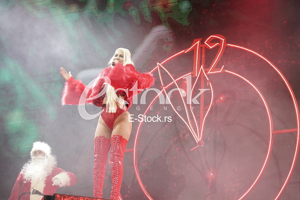 nastup Jelena Karleusa  kod Narodne Skupstine