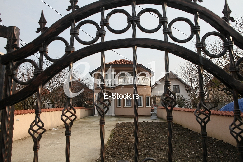 Zorica Kesmanovic,Borca