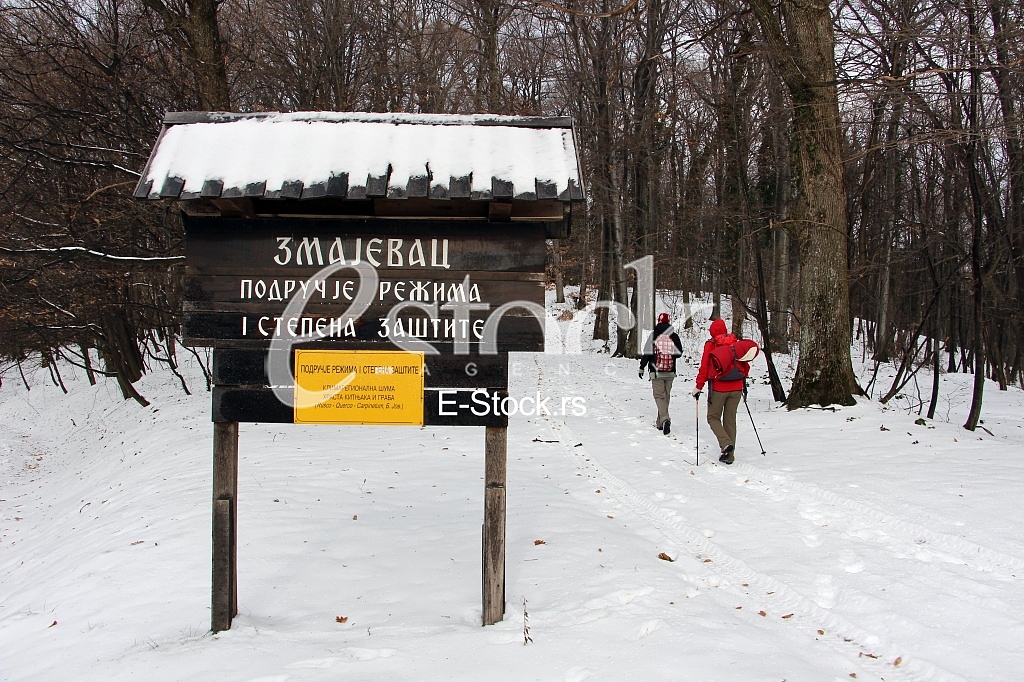 Fruska gora