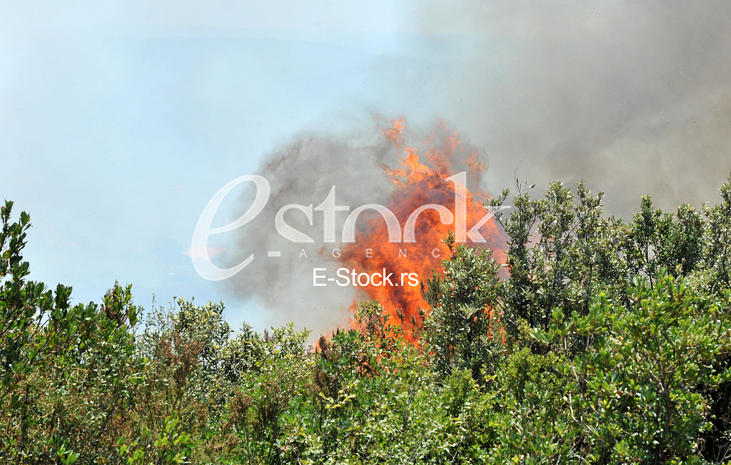 Fire in Montenegro