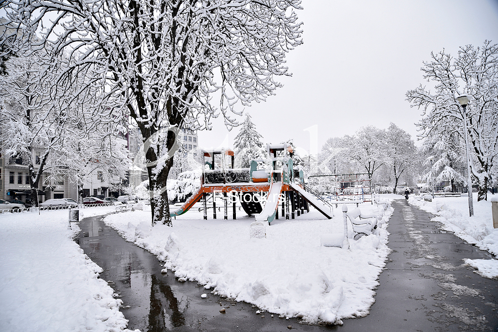 Winter 