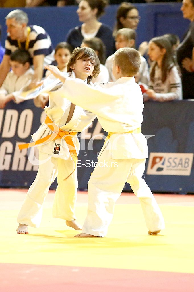 Memorial judo tournament