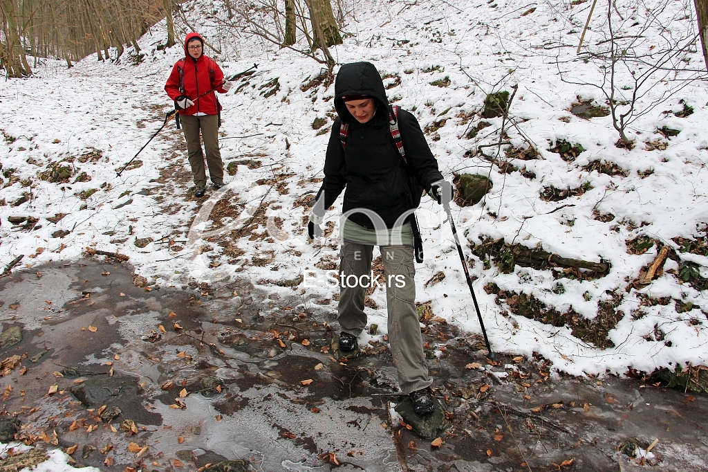 Fruska gora