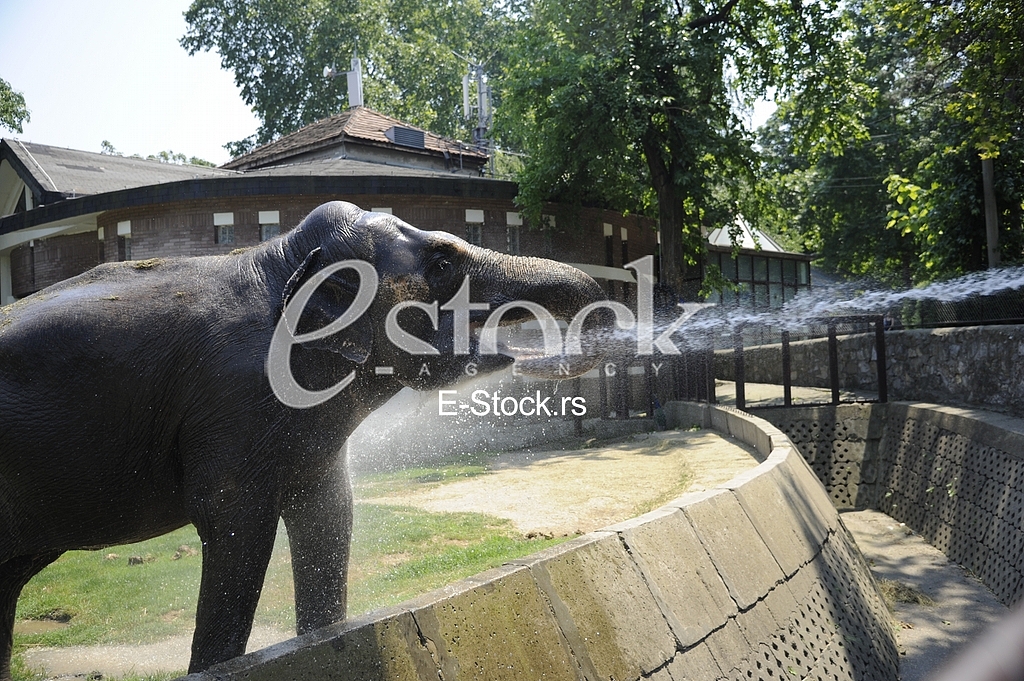Belgrade zoo on summer day