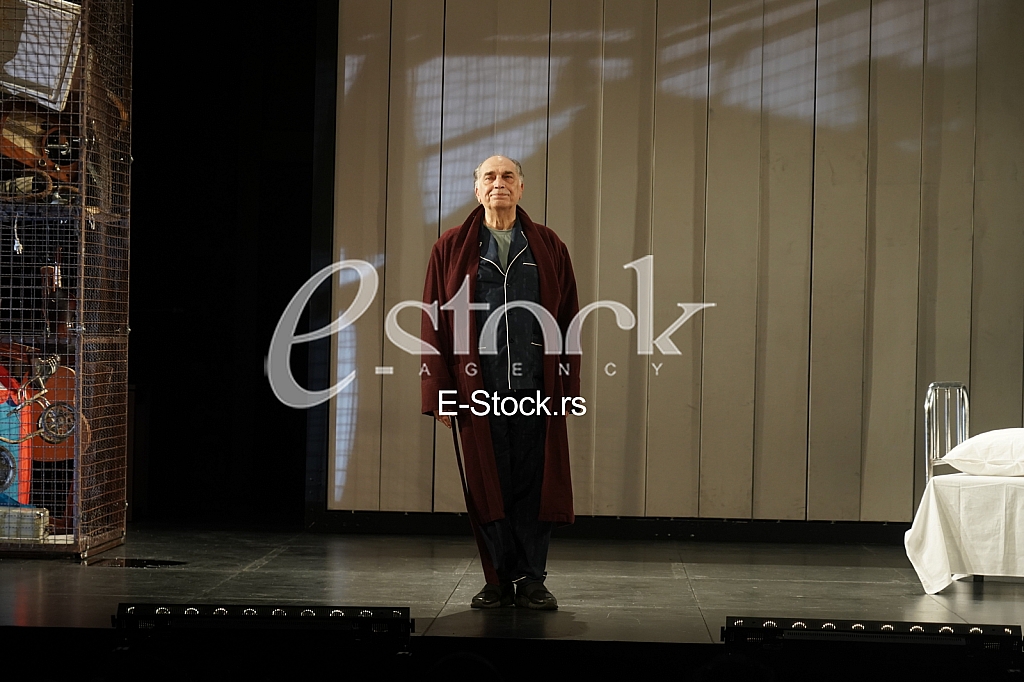 Vojislav Voja Brajovic