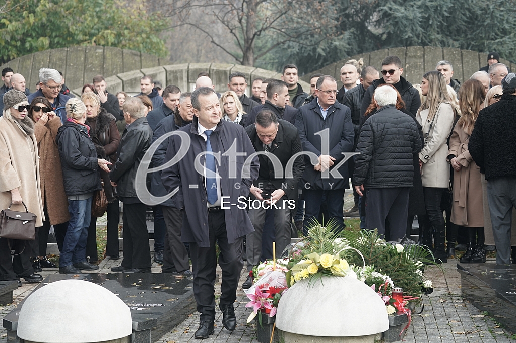 Ivica Dacic, Aleksandar Antic, Vladan Zagradjanin