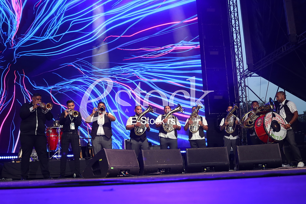 Orkestar Elvisa Bajramovica