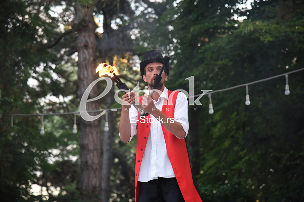 Summer party in the German embassy