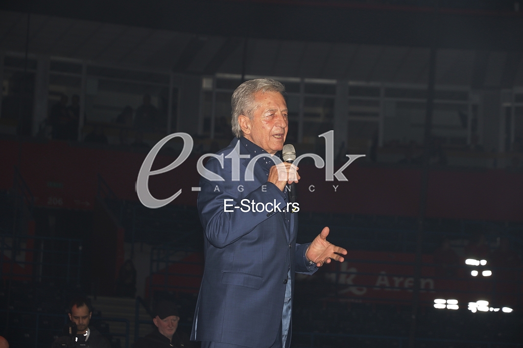 Miroslav Ilic