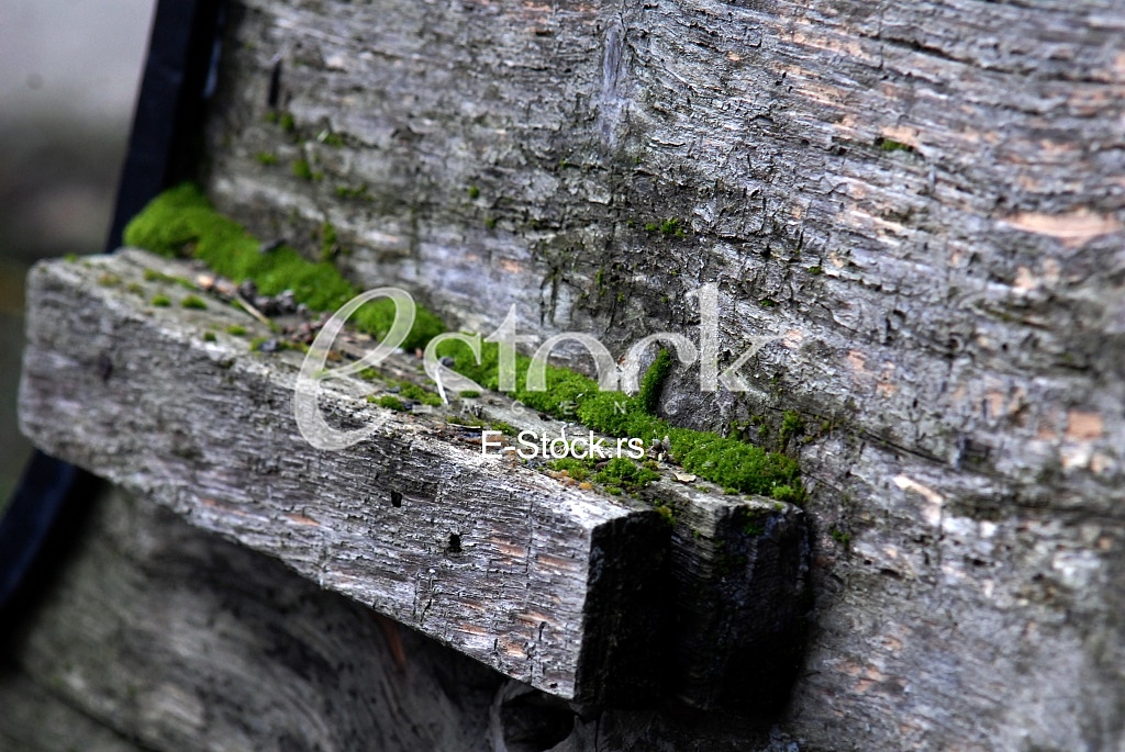 Wood