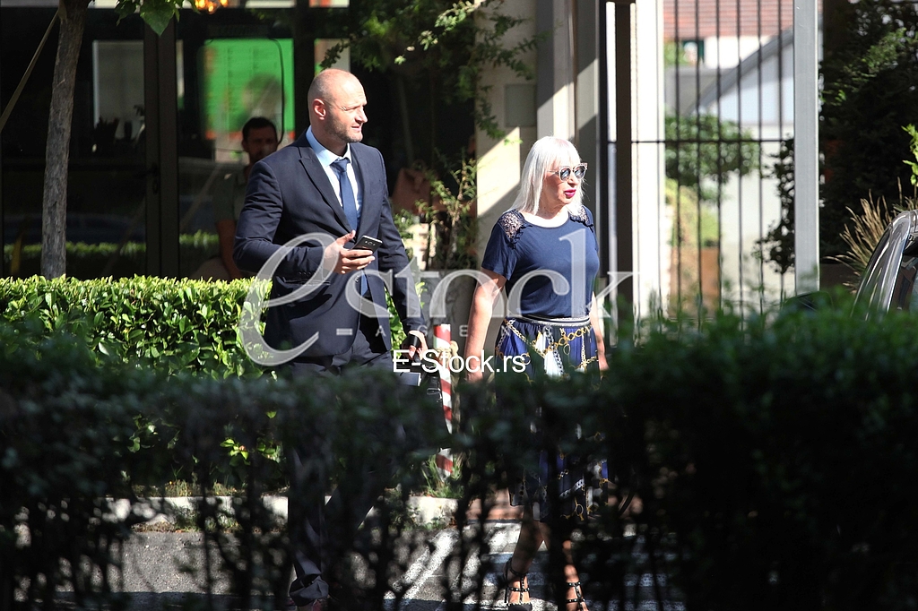 Djordje Gacevic Snezana Ilic