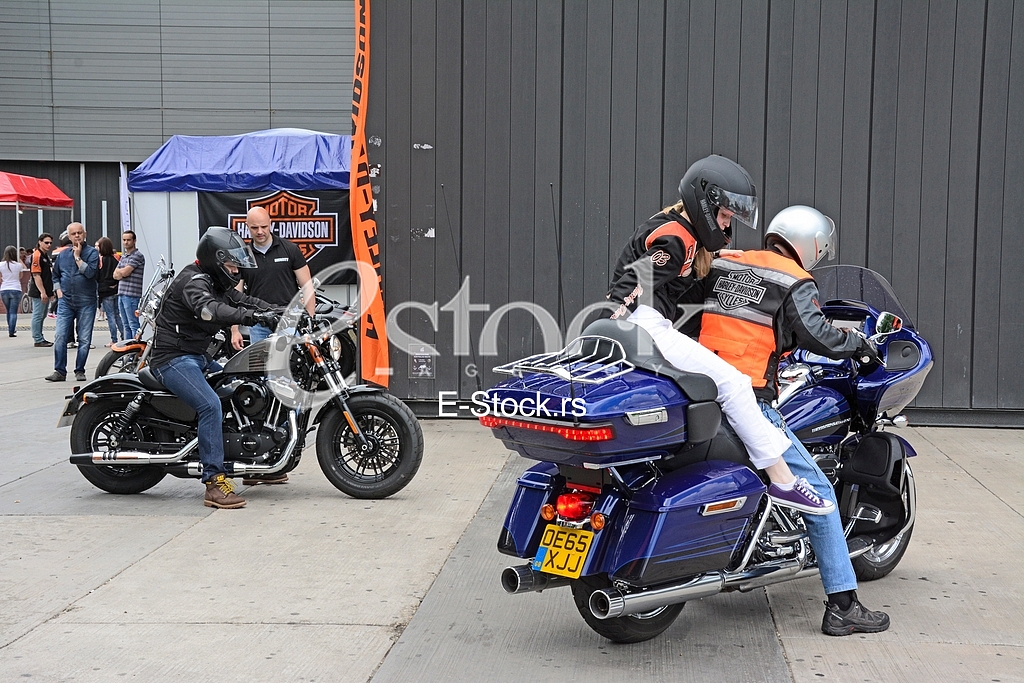 Promote and test drive of Harley Davidson