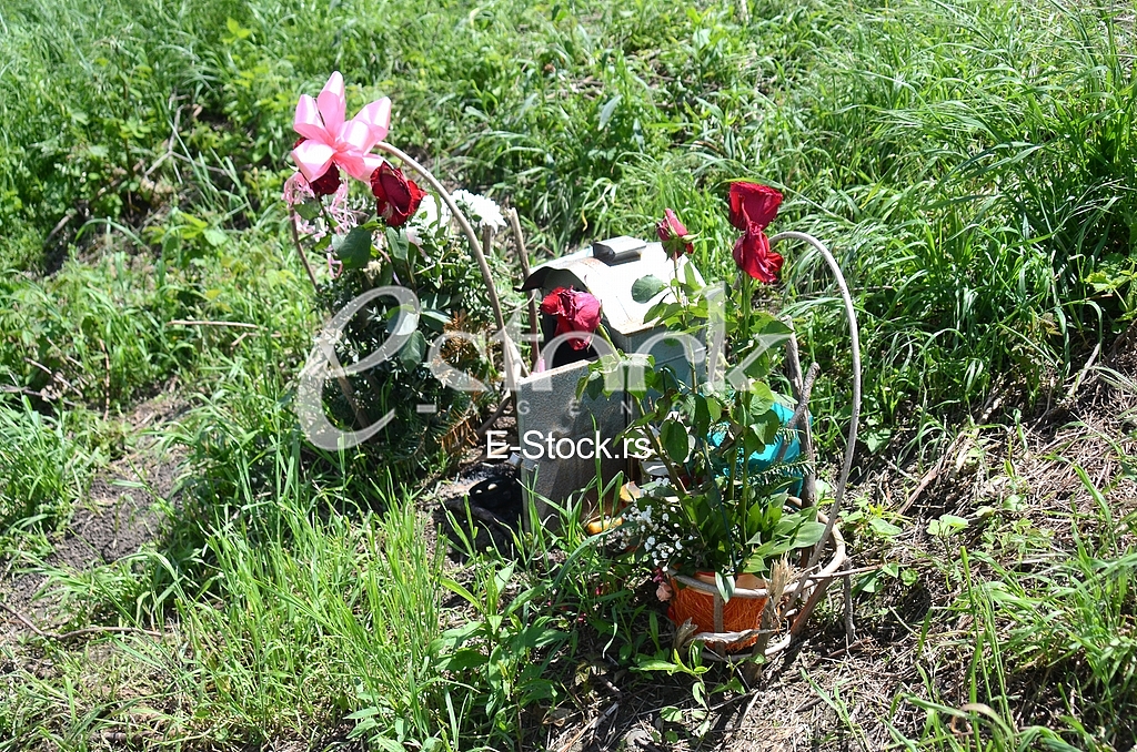 Mound in Crvenka where the murder Jelena Marjanovic from Borce