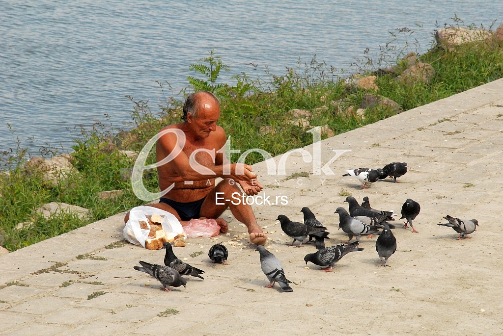 feeds pigeons 
