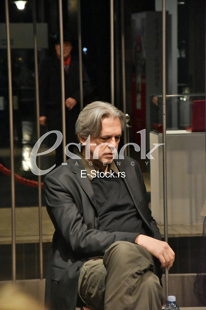 Goran Gocic