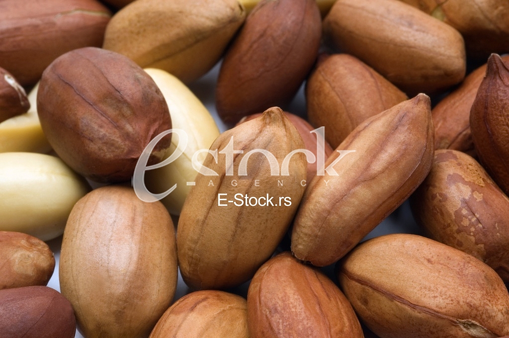 Peanut